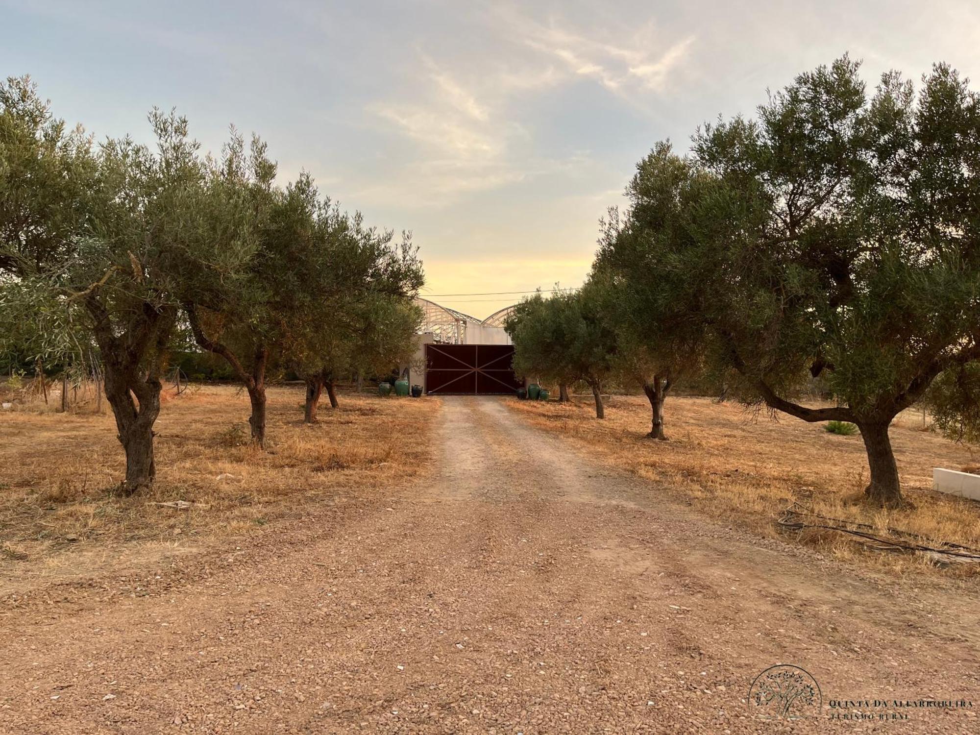 Quinta Da Alfarrobeira Peaceful Countryside Stay Distrito de Distrito de Faro Exterior foto